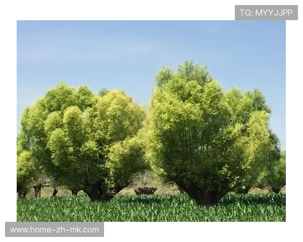 18岁中卫单防三人,硬刚成功